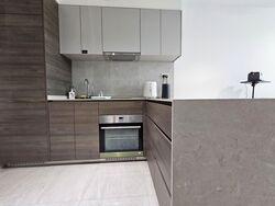 The Florence Residences (D19), Apartment #565806611